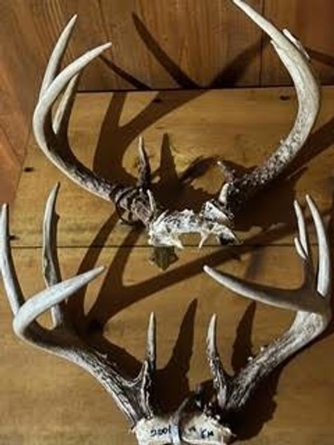 Tiny photo for N5449 County M Road, Brandon, WI 53919 (MLS # 2009043)