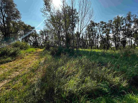 Tiny photo for N5449 County M Road, Brandon, WI 53919 (MLS # 2009043)