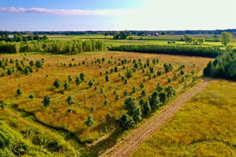 Tiny photo for N5449 County M Road, Brandon, WI 53919 (MLS # 2009043)