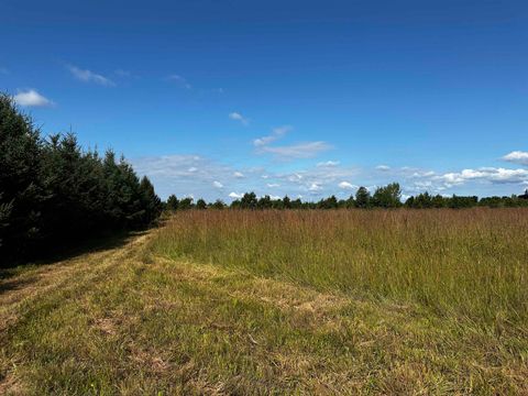 Tiny photo for N5449 County M Road, Brandon, WI 53919 (MLS # 2009043)