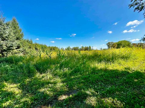 Tiny photo for N5449 County M Road, Brandon, WI 53919 (MLS # 2009043)