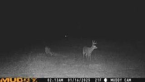 Tiny photo for N5449 County M Road, Brandon, WI 53919 (MLS # 2009043)