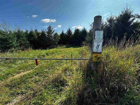 Tiny photo for N5449 County M Road, Brandon, WI 53919 (MLS # 2009043)