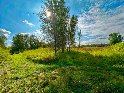 Tiny photo for N5449 County M Road, Brandon, WI 53919 (MLS # 2009043)