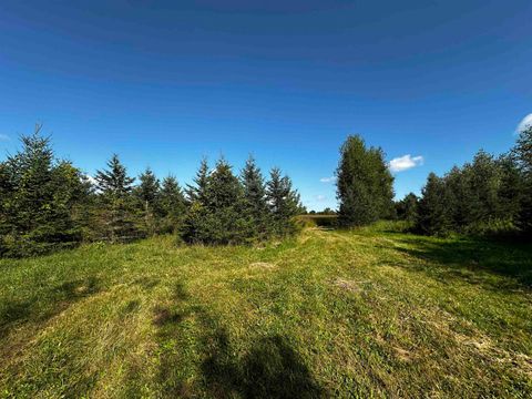 Tiny photo for N5449 County M Road, Brandon, WI 53919 (MLS # 2009043)