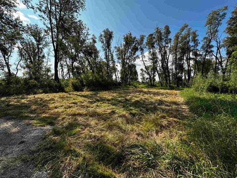 Tiny photo for N5449 County M Road, Brandon, WI 53919 (MLS # 2009043)