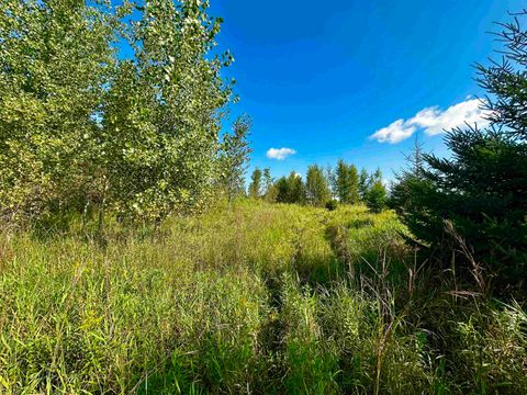 Tiny photo for N5449 County M Road, Brandon, WI 53919 (MLS # 2009043)