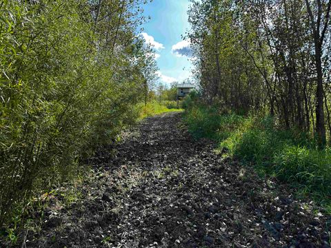 Tiny photo for N5449 County M Road, Brandon, WI 53919 (MLS # 2009043)