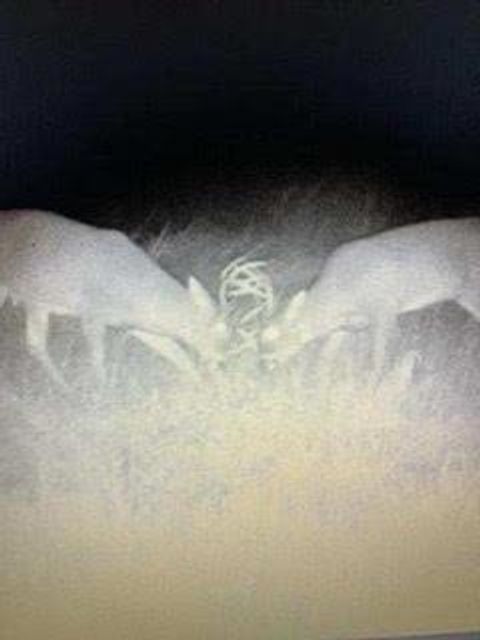 Tiny photo for N5449 County M Road, Brandon, WI 53919 (MLS # 2009043)