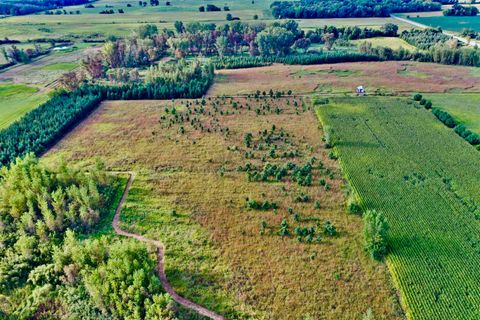 Tiny photo for N5449 County M Road, Brandon, WI 53919 (MLS # 2009043)