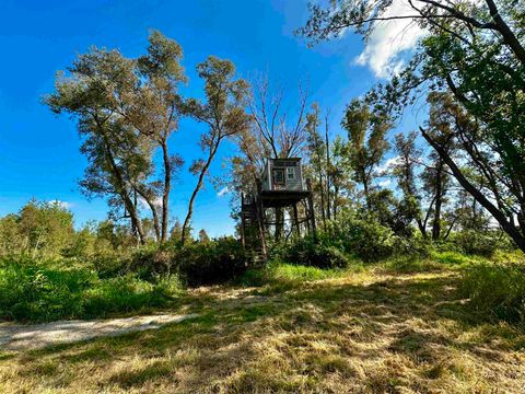 Tiny photo for N5449 County M Road, Brandon, WI 53919 (MLS # 2009043)