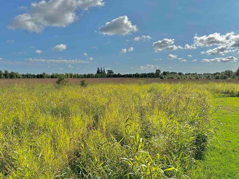 Tiny photo for N5449 County M Road, Brandon, WI 53919 (MLS # 2009043)