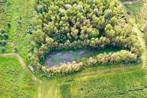 Tiny photo for N5449 County M Road, Brandon, WI 53919 (MLS # 2009043)