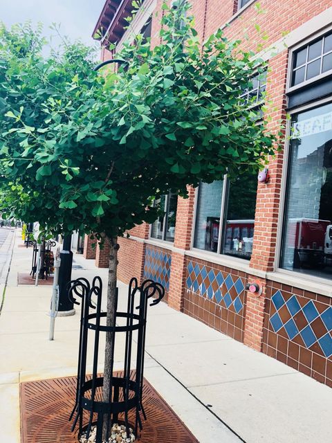 Photo of 322 N Henry Street 202 #202, Madison, WI 53703 (MLS # 2019230)