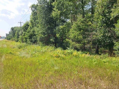 Photo of 20.22 Ac State Road 21, Redgranite, WI 54970 (MLS # 2028582)