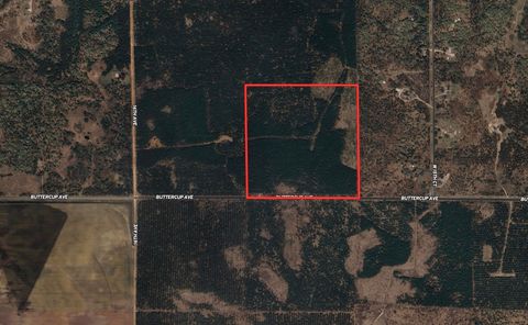 Tiny photo for 40 AC Buttercup Ave N Acres, Arkdale, WI 54613 (MLS # 2009954)