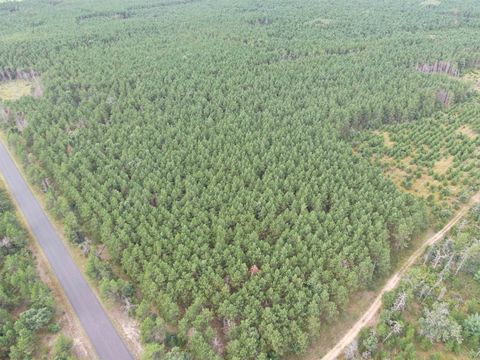 Tiny photo for 40 AC Buttercup Ave N Acres, Arkdale, WI 54613 (MLS # 2009954)