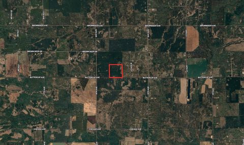Tiny photo for 40 AC Buttercup Ave N Acres, Arkdale, WI 54613 (MLS # 2009954)