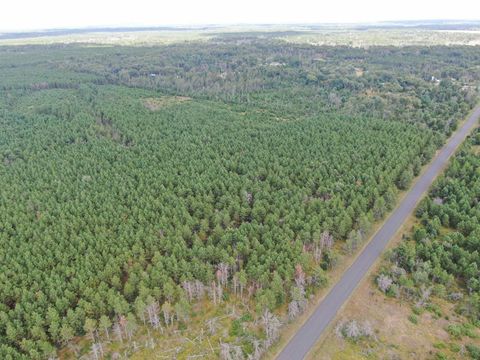 Tiny photo for 40 AC Buttercup Ave N Acres, Arkdale, WI 54613 (MLS # 2009954)