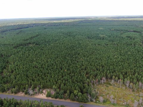Photo of 40 AC Buttercup Ave N Acres, Arkdale, WI 54613 (MLS # 2009954)