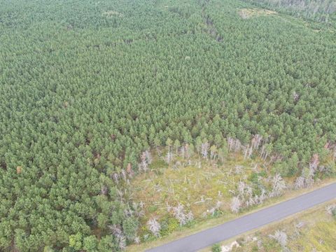 Tiny photo for 40 AC Buttercup Ave N Acres, Arkdale, WI 54613 (MLS # 2009954)
