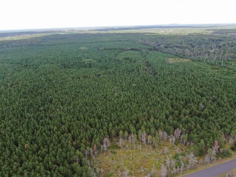 Tiny photo for 40 AC Buttercup Ave N Acres, Arkdale, WI 54613 (MLS # 2009954)