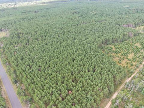 Tiny photo for 40 AC Buttercup Ave N Acres, Arkdale, WI 54613 (MLS # 2009954)