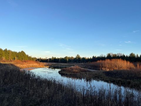 Photo of 33 Acres 10th Avenue, Adams, WI 53910 (MLS # 2007975)