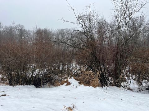 Photo of 18 AC Chicago Avenue, Coloma, WI 54930 (MLS # 2014473)