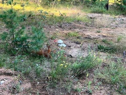 Tiny photo for 1944 W 19th Avenue, Arkdale, WI 54613 (MLS # 2010078)