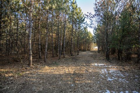 Tiny photo for Lot 3 11th Drive, Friendship, WI 53934 (MLS # 2002689)