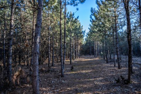 Tiny photo for Lot 3 11th Drive, Friendship, WI 53934 (MLS # 2002689)