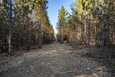 Tiny photo for Lot 3 11th Drive, Friendship, WI 53934 (MLS # 2002689)