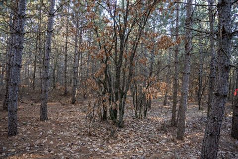 Tiny photo for Lot 3 11th Drive, Friendship, WI 53934 (MLS # 2002689)