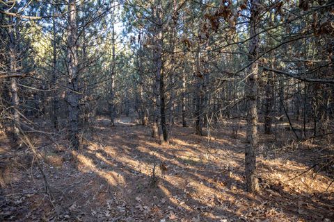Tiny photo for Lot 3 11th Drive, Friendship, WI 53934 (MLS # 2002689)