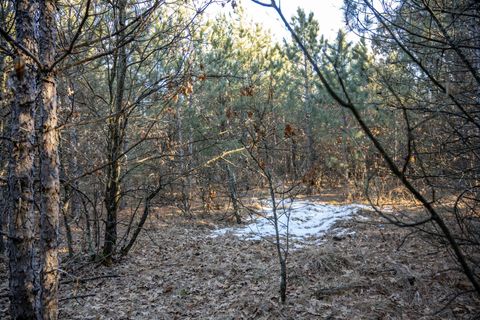 Tiny photo for Lot 3 11th Drive, Friendship, WI 53934 (MLS # 2002689)