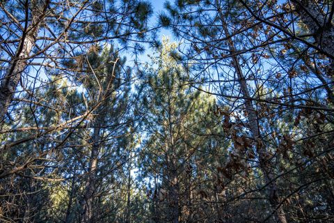 Tiny photo for Lot 3 11th Drive, Friendship, WI 53934 (MLS # 2002689)