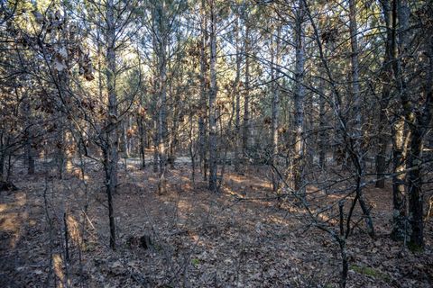 Tiny photo for Lot 3 11th Drive, Friendship, WI 53934 (MLS # 2002689)