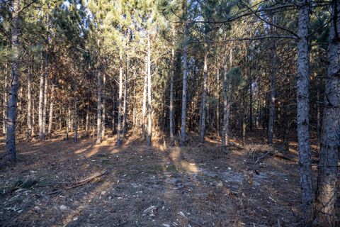 Tiny photo for Lot 3 11th Drive, Friendship, WI 53934 (MLS # 2002689)