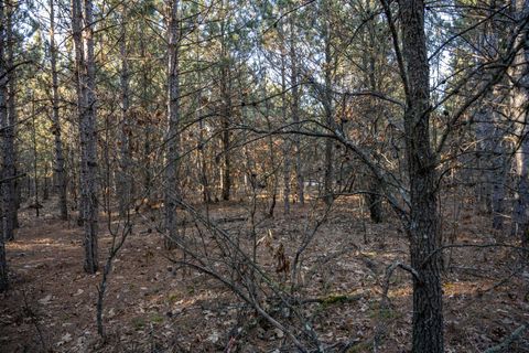 Tiny photo for Lot 3 11th Drive, Friendship, WI 53934 (MLS # 2002689)