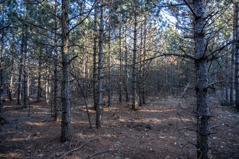 Tiny photo for Lot 3 11th Drive, Friendship, WI 53934 (MLS # 2002689)