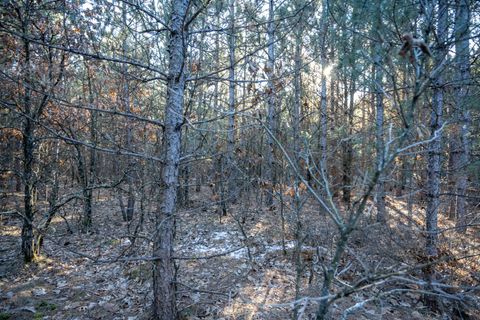 Tiny photo for Lot 3 11th Drive, Friendship, WI 53934 (MLS # 2002689)