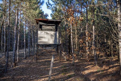 Tiny photo for Lot 3 11th Drive, Friendship, WI 53934 (MLS # 2002689)