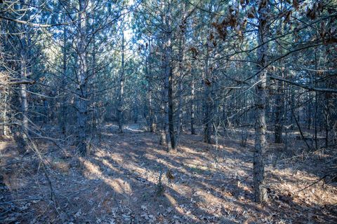 Tiny photo for Lot 3 11th Drive, Friendship, WI 53934 (MLS # 2002689)