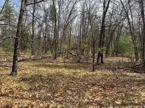 Tiny photo for L39 S Duck Creek Avenue, Friendship, WI 53934 (MLS # 1976113)