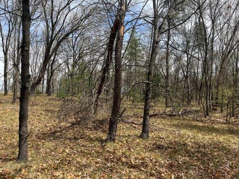 Tiny photo for L39 S Duck Creek Avenue, Friendship, WI 53934 (MLS # 1976113)