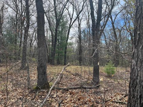 Tiny photo for L39 S Duck Creek Avenue, Friendship, WI 53934 (MLS # 1976113)