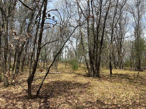 Tiny photo for L39 S Duck Creek Avenue, Friendship, WI 53934 (MLS # 1976113)