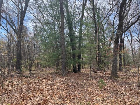 Tiny photo for L39 S Duck Creek Avenue, Friendship, WI 53934 (MLS # 1976113)
