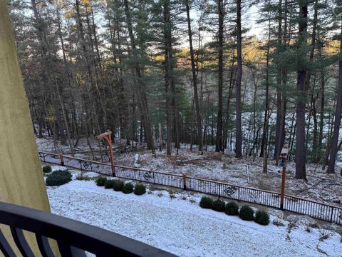 Tiny photo for 2411 River Road 2243 #2243, Wisconsin Dells, WI 53965 (MLS # 1990695)